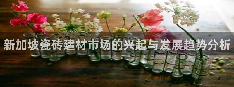 杏鑫手机客户端
