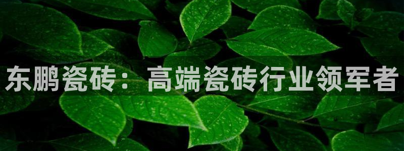 杏鑫娱乐平台测速怎么样