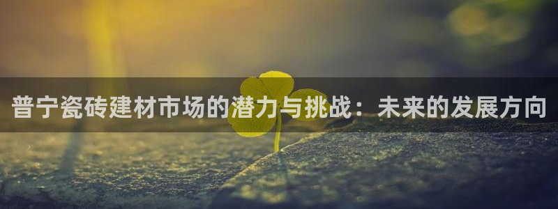 杏鑫平台招商电话号码