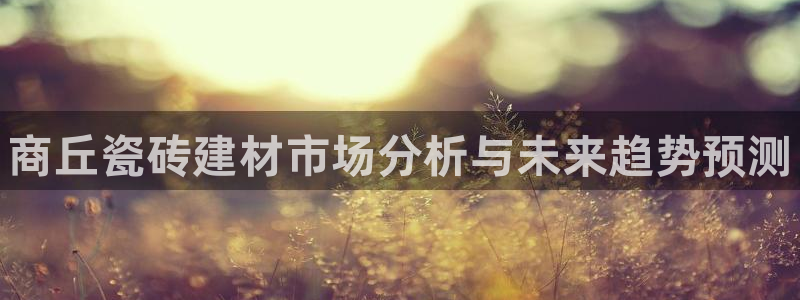 杏鑫平台招商电话