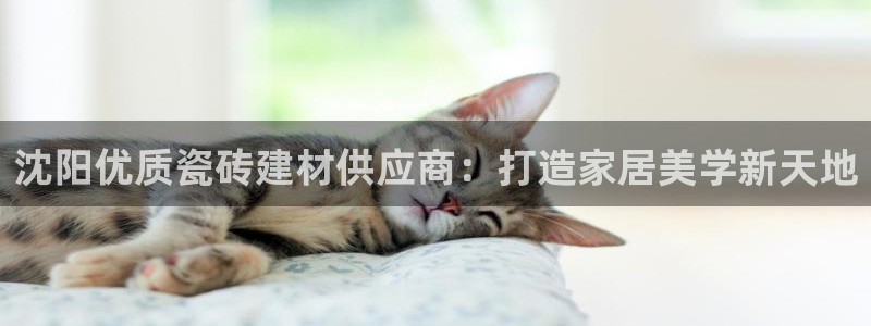 杏鑫平台代理注册流程视频