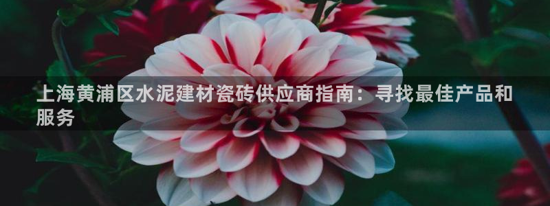 杏鑫平台在线注册怎么注册