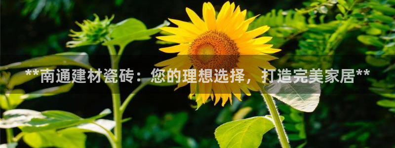 杏鑫平台代理注册流程图