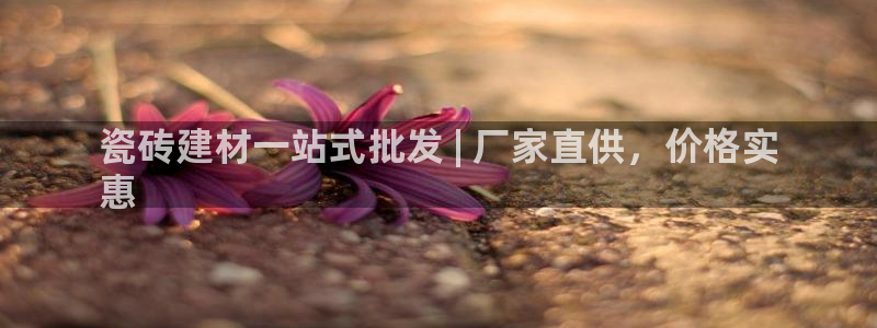 杏鑫平台代理注册要钱吗