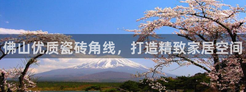 杏鑫平台代理注册流程图