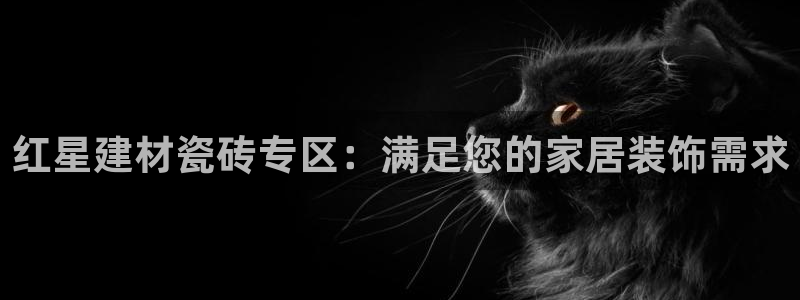 杏鑫代理注册登录