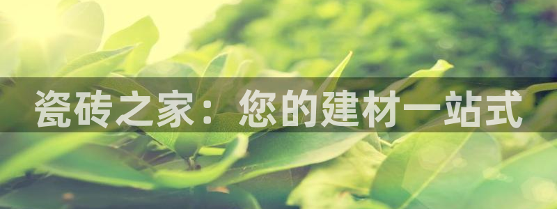 杏鑫平台注册登录