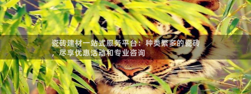 杏鑫注册平台官方网站下载