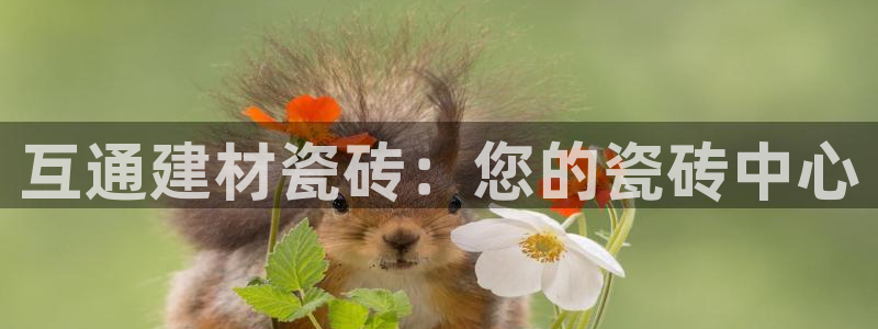 杏鑫注册平台官方网站是什么