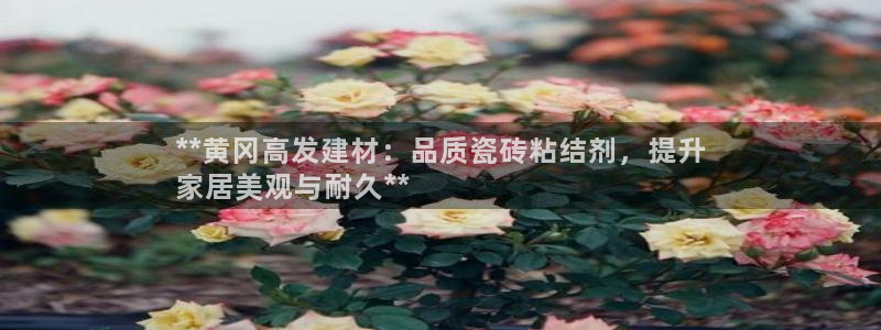 杏鑫官网注册账号