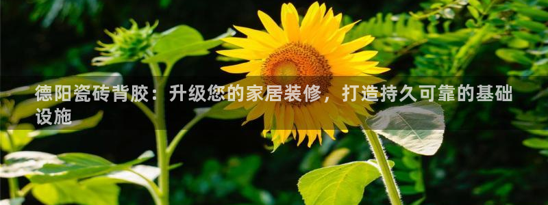 杏鑫官网注册账号密码