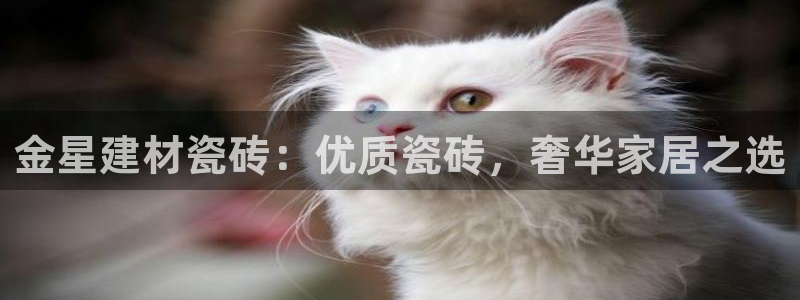 杏鑫注册平台官方网站下载