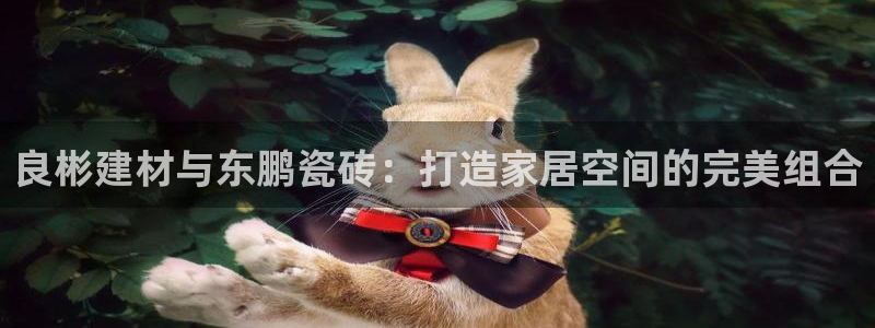 杏鑫平台注册入口在哪