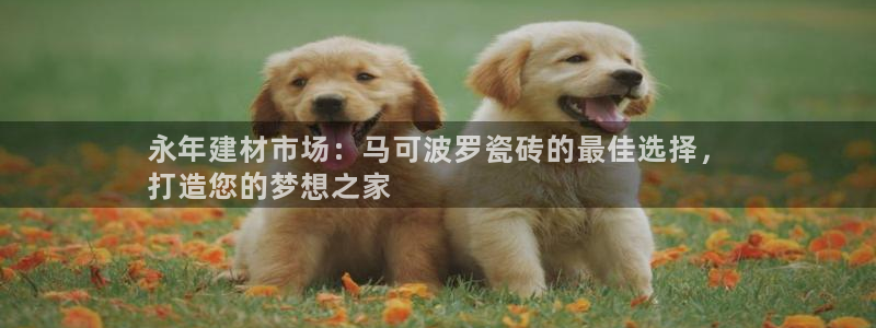 杏鑫注册平台官方网站是什么