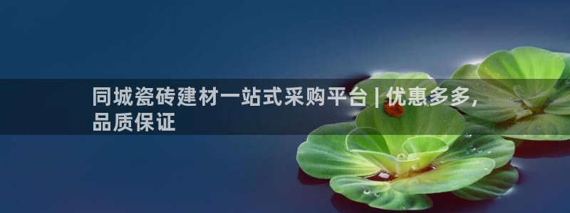 杏鑫平台注册网址是多少