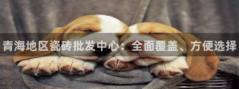 杏鑫平台在线注册怎么注册