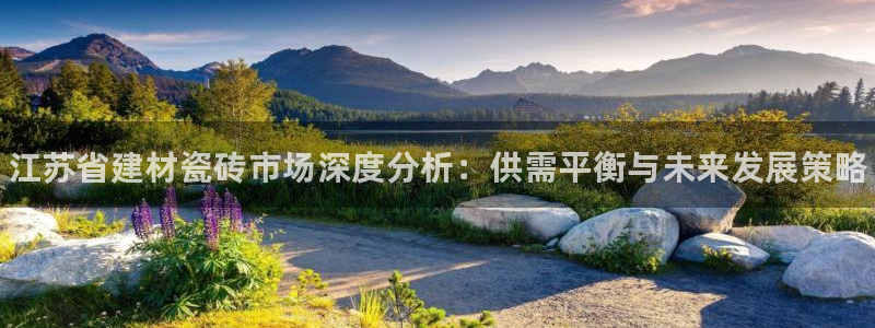 杏鑫官网最新信息新闻