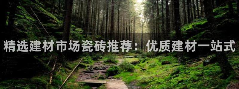 杏鑫官网注册账号