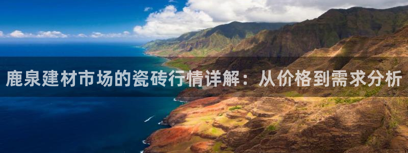 杏鑫平台代理怎么做的