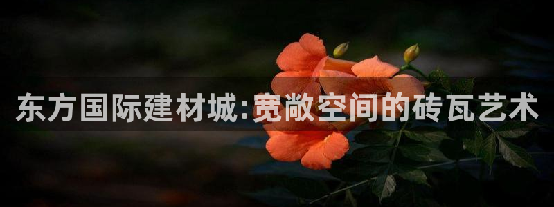 杏鑫平台线路测速