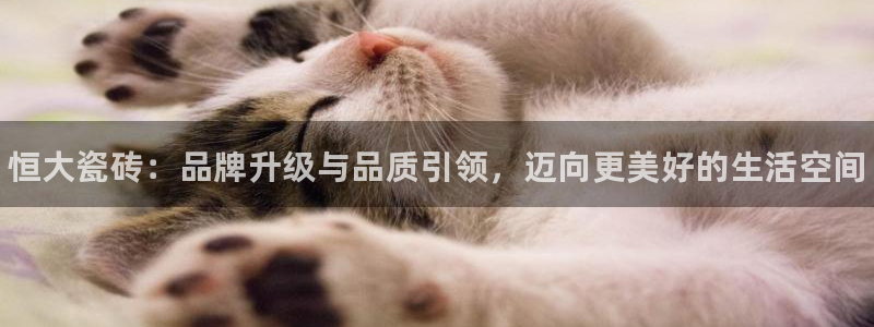 杏鑫平台野马联盟怎么样