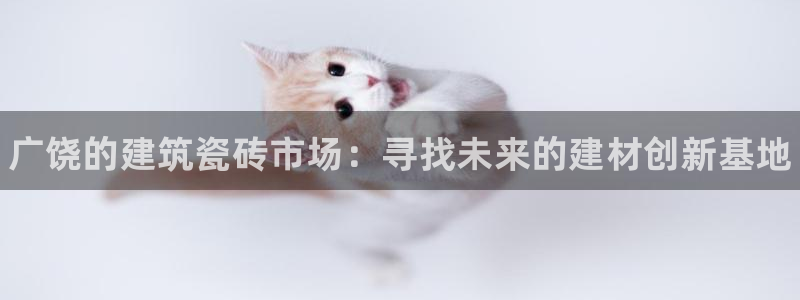 杏鑫娱乐开发团队