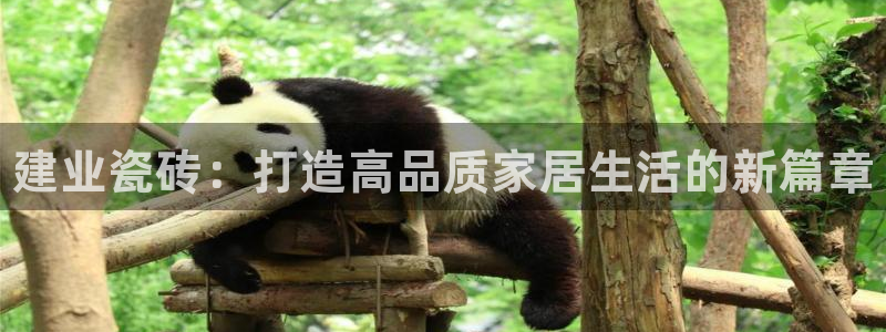 杏鑫平台代理注册登录不了怎么办呀视频