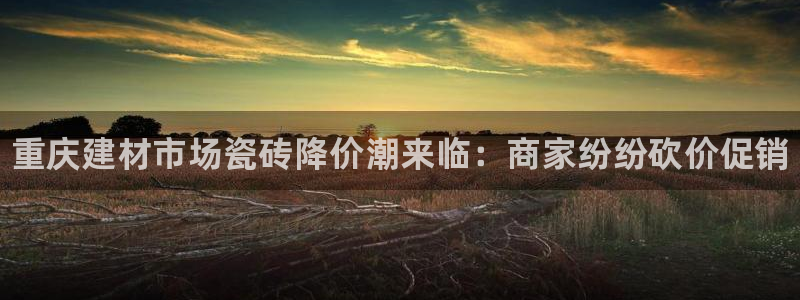 杏鑫注册登录代理公司